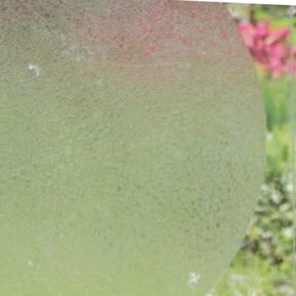 Shatterd glass Window Film