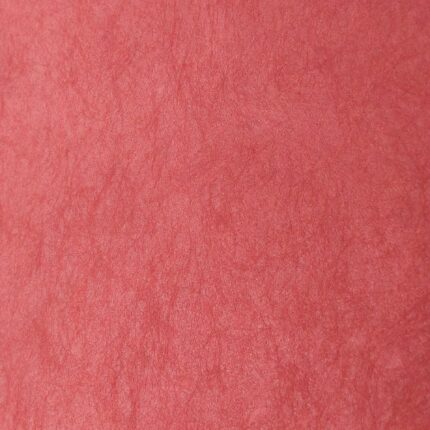 Non-woven metallic Wallpaper design