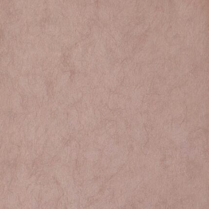 Non-woven metallic Wallpaper design