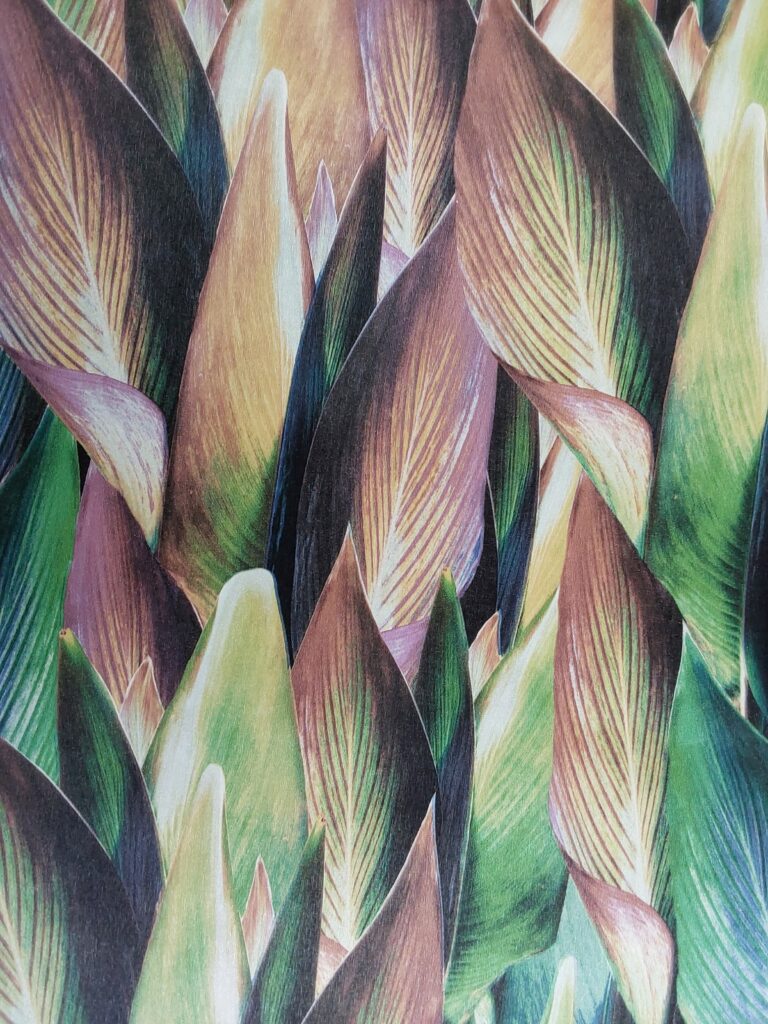 Vinyl Floral Green/Pink Wallpaper – WOD